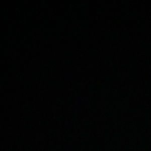 Meet your Posher, Daisy